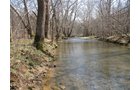 Property photo 13 - 137 Acres in 2 Tracts - 64 Tillable Acres, Potential Building Sites, Hunting